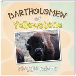 Bartholomew of Yellowstone