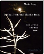 Bacha Posh und Bacha Bazi