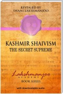 Kashmir Shaivism Audio Study Set