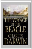 The Voyage of the Beagle