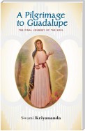 A Pilgrimage to Guadalupe