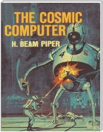 The Cosmic Computer