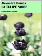 La tulipe noire
