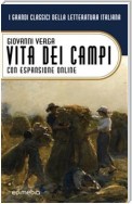 Vita dei campi