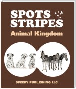 Spots & Stripes Animal Kingdom