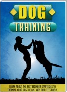 Dog Training Learn About The Best Beginner Strategies To Training Your Dog The Best Way And Effectively