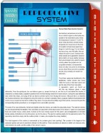 Reproductive System (Speedy Study Guides)