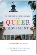 Southern Perspectives on the Queer Movement