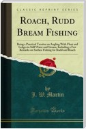 Roach, Rudd Bream Fishing