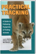 Practical Tracking