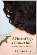 A Piece of Sky, A Grain of Rice