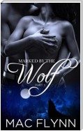 Marked By the Wolf #1: Werewolf Shifter Romance