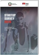 Startup survey 2016