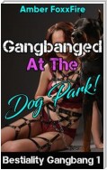 Bestiality Gangbang 1: Gangbanged At The Dog Park