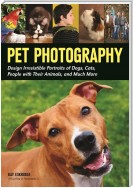 Pet Photography