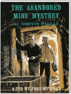 The Abandoned Mine Mystery (Ted Wilford #13)