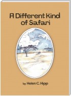 A Different Kind of Safari eBook