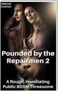 Pounded by the Repairmen 2