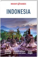 Insight Guides Indonesia (Travel Guide eBook)