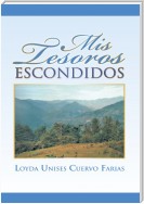 Mis Tesoros Escondidos