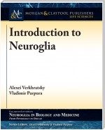 Introduction to Neuroglia