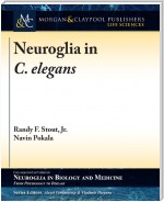 Neuroglia in C. elegans