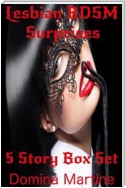 Lesbian BDSM Surprises 5 Story Box Set