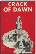 Crack of Dawn - Erotic Novel
