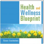 Health and Wellness Blueprint