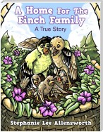 A HOME FOR THE FINCH FAMILY