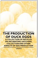 The Production of Duck Eggs - A Collection of Articles on Incubators, Hatching, Collection and Other Aspects of Egg Production