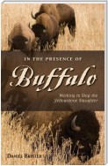 In the Presence of Buffalo