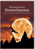 Командировка. Мистика, прозаические миниатюры, сказки для взрослых