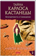 Тайна Карлоса Кастанеды. Часть II. Безупречность и сновидение