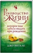 Руководство к жизни, которое вам забыли выдать при рождении