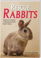Rescue Rabbits