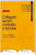 Collegato lavoro: contratto a termine