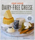 One-Hour Dairy-Free Cheese