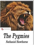 The pygmies