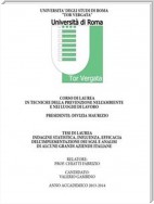 Indagine statistica, Influenza, Efficacia dell'implementazione dei SGSL e analisi di alcune grandi aziende italiane