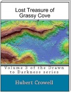 Lost Treasure of Grassy Cove Volume 3 of Drawn to Darkness