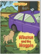 Winston and the Magpie