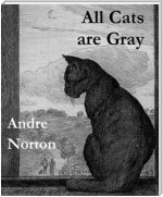 All Cats Are Gray