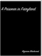 A Prisoner in Fairyland