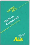 Nacht im Central Park von Guillaume Musso (Lektürehilfe)