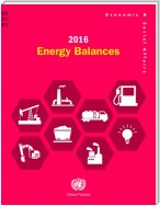 2016 Energy Balances