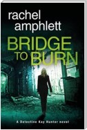 Bridge to Burn: A Detective Kay Hunter mystery