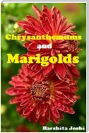 Chrysanthemums and Marigolds