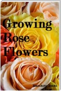 Growing Rose Flowers