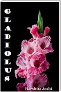 Gladiolus